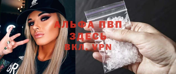 СК Алексин