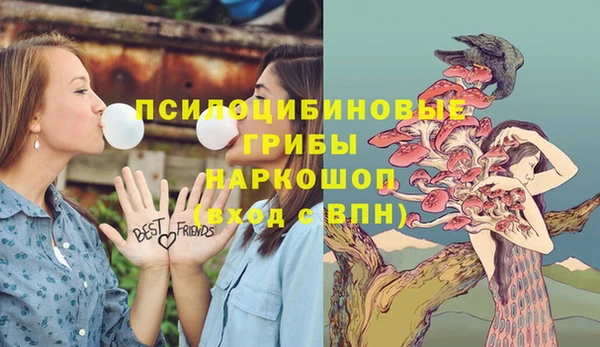 дурь Алзамай
