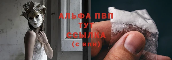 СК Алексин