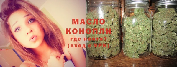 СК Алексин