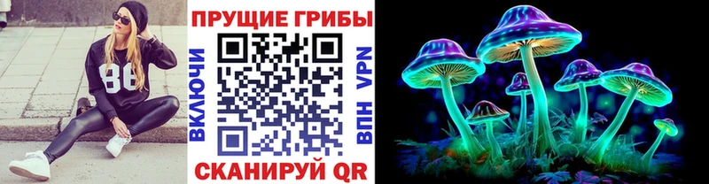 kraken зеркало  Анжеро-Судженск  Псилоцибиновые грибы Psilocybine cubensis 