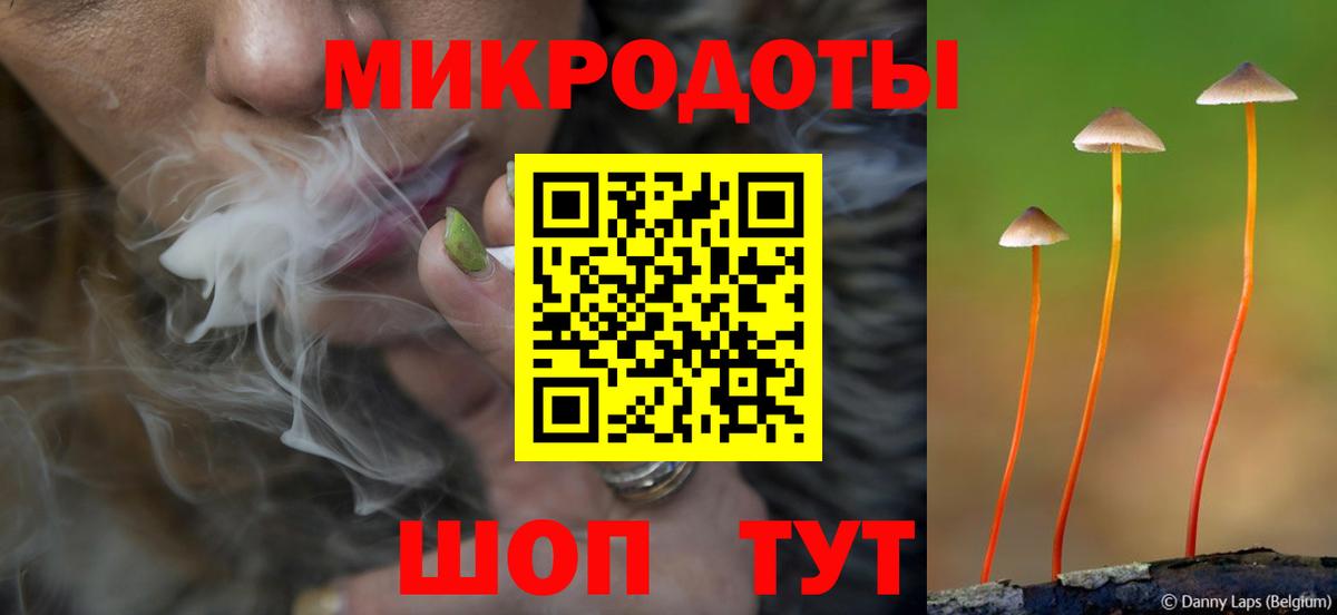 хочу   Вход с VPN  Анжеро-Судженск  Галлюциногенные грибы Psilocybe 