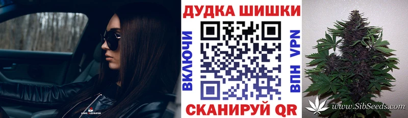 Бошки марихуана ГИДРОПОН где продают наркотики Анжеро-Судженск